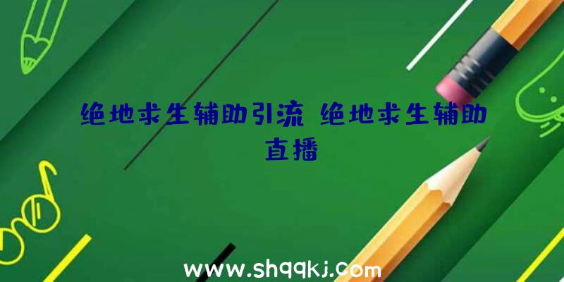 绝地求生辅助引流、绝地求生辅助